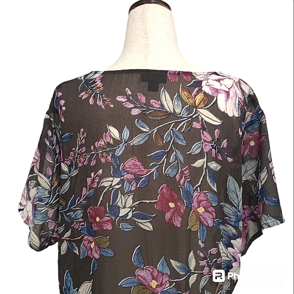 🎁 NWOT Torrid, Sheer, Hi-Lo Tunic. Elastic Waist, Short Sleeves, Fabric Buttons - Picture 8 of 16